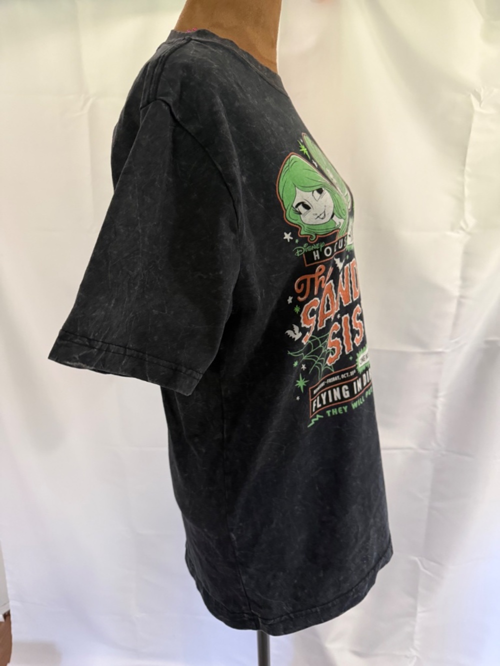 Official Disney Parks "Hocus Pocus" Sanderson Sisters Graphic Tee  Size Small - Picture 8 of 9